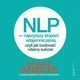 NLP - najwyższy stopień wtajemniczenia, czyli jak budować własny sukces, Owen Fitzpatrick, Alessio Roberti, Richard Bandler